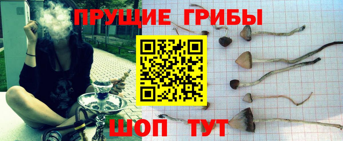 Псилоцибиновые грибы Psilocybe  Вход с VPN  Луховицы 